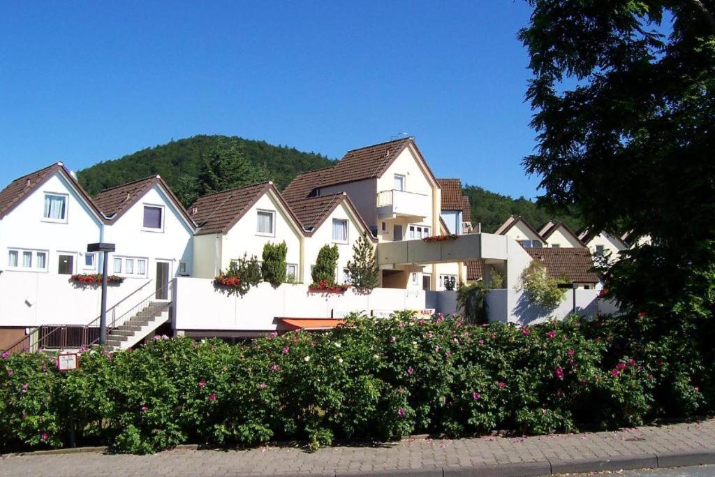Seeblick Geniessen In Schoener Fewo Am Edersee Scheid  Екстериор снимка